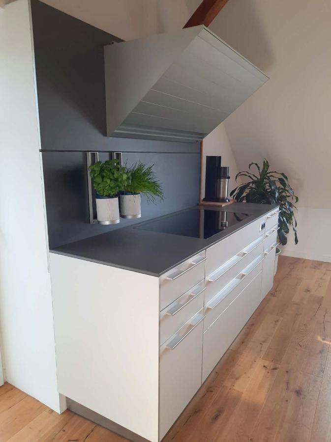 Luxurioeses Loft Mit Schoenem Blick Tremsbüttel エクステリア 写真